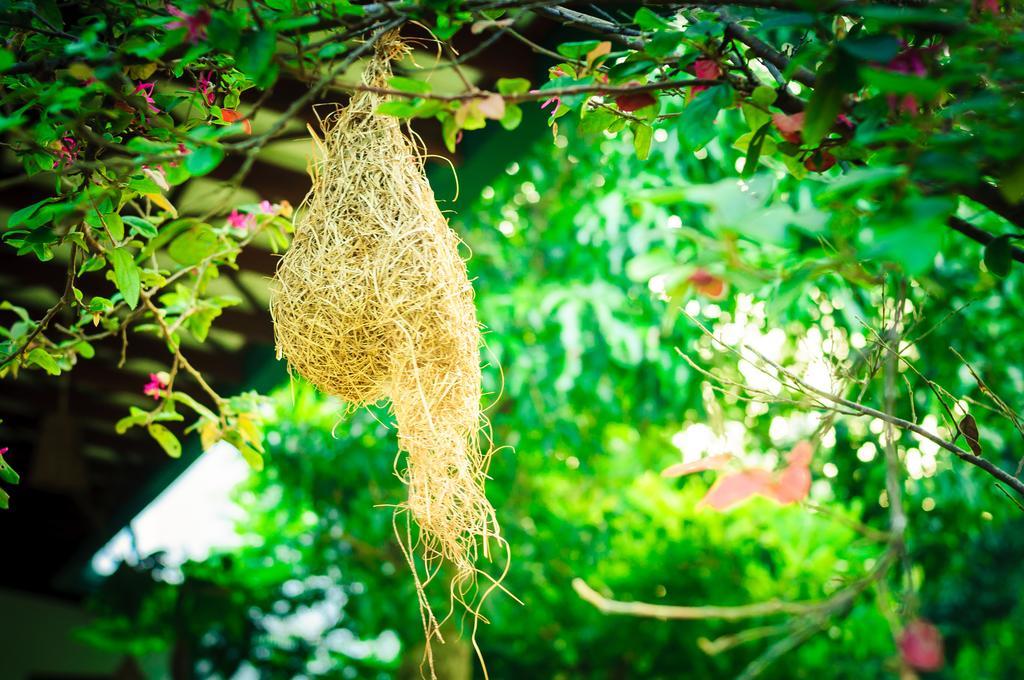 Garcinia Leaf Hotel Hikkaduwa Bagian luar foto